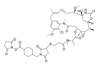 SMCC-DM1