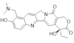 拓扑替康