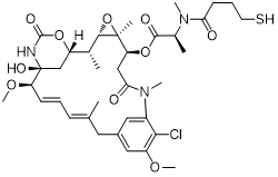 DM1